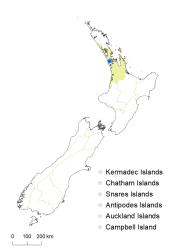 Niphidium crassifolium distribution map based on databased records at AK, CHR & WELT.
 Image: K.Boardman © Landcare Research 2021 CC BY 4.0